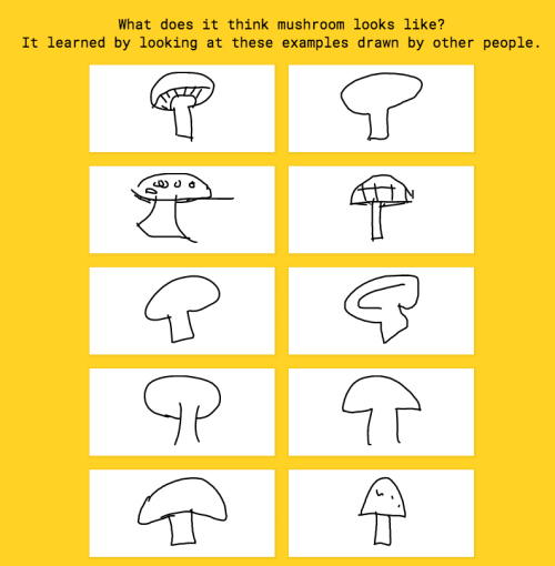 screen-shot-2016-11-17-at-5-22-45-pm